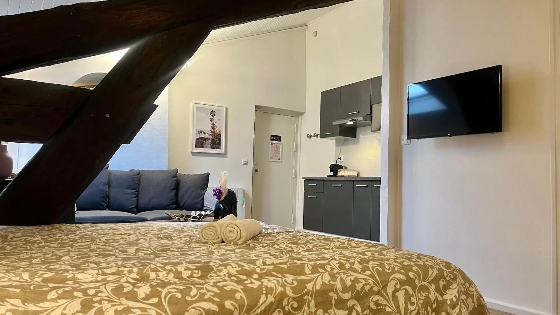 Apartment Suite Polka Lyon